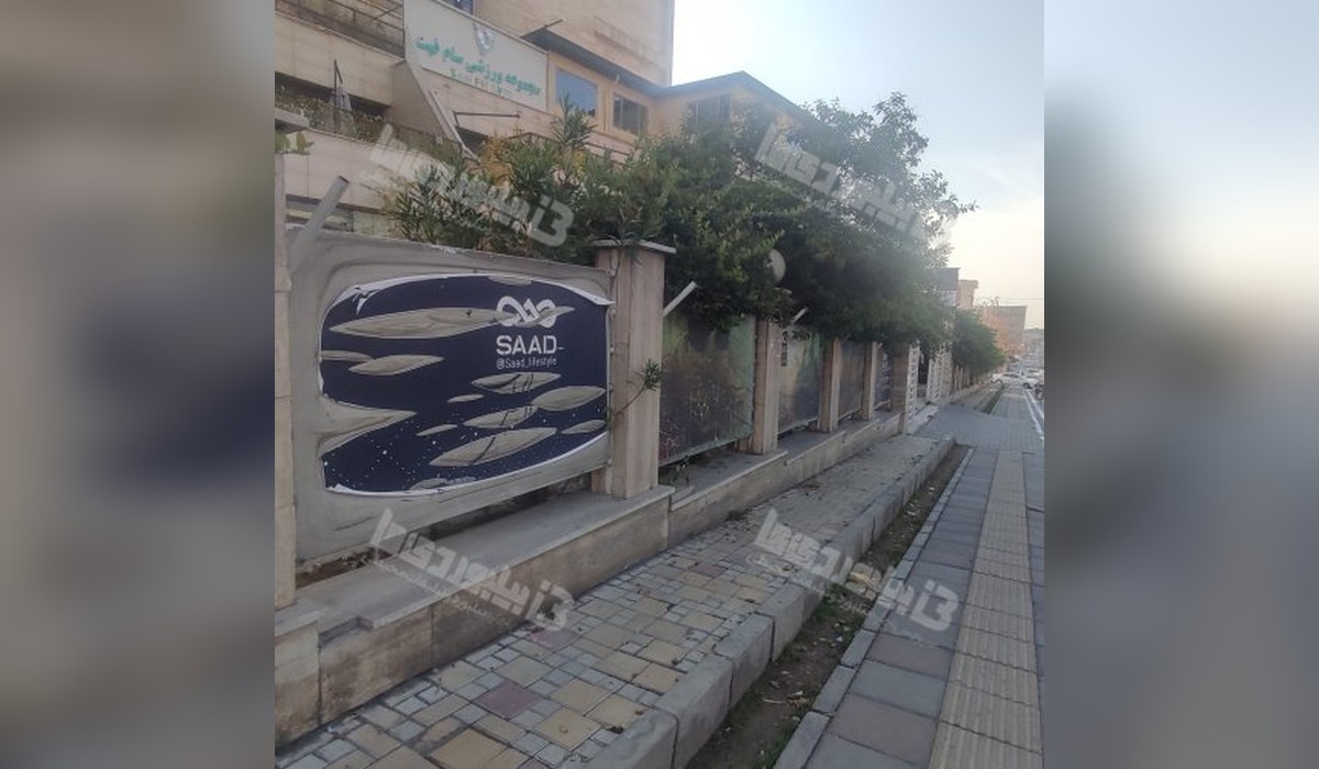 مجتمع الماس