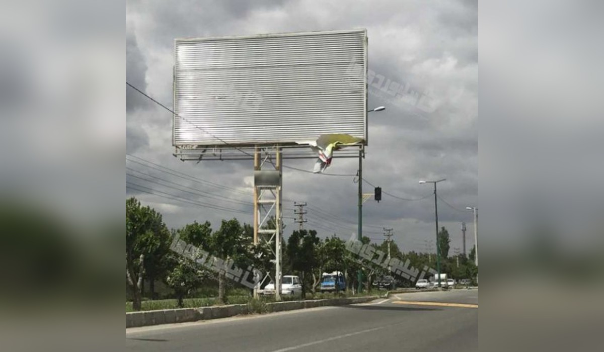 بیلبورد صفادشت